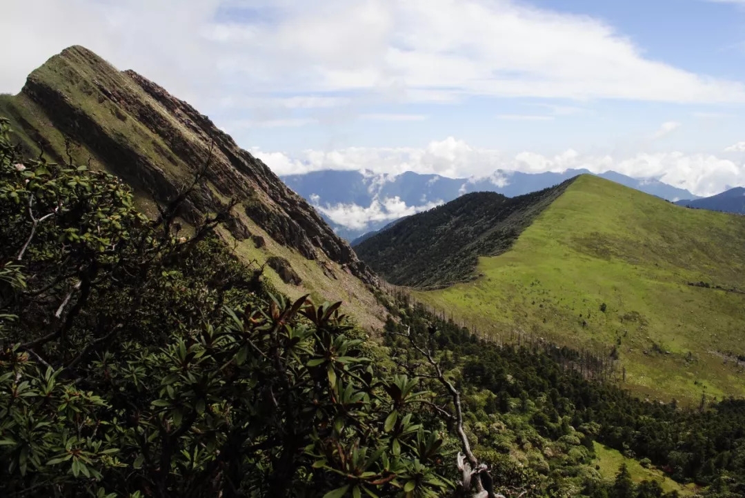百慕大黑竹沟未解之谜,黑竹沟百慕大三角探险