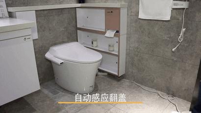 箭牌智能马桶深度解析,箭牌智能马桶v6马桶上的4个按键