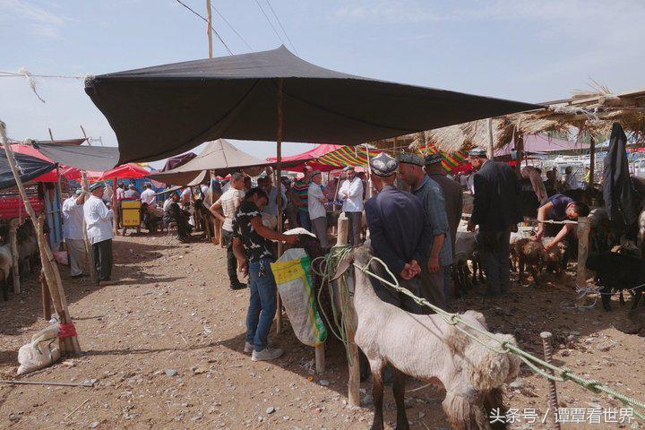 令人大开眼界的车,喀什牛羊大巴扎有意思吗