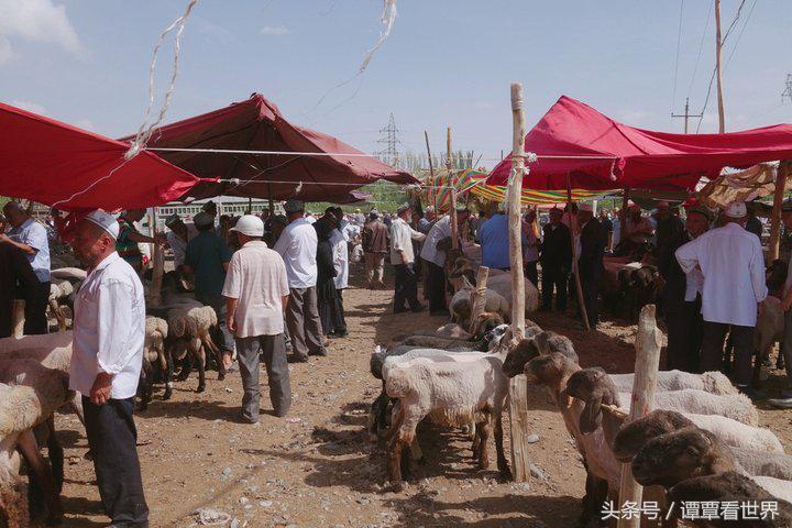 令人大开眼界的车,喀什牛羊大巴扎有意思吗