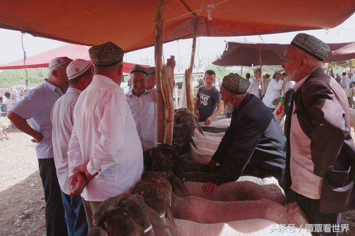 令人大开眼界的车,喀什牛羊大巴扎有意思吗