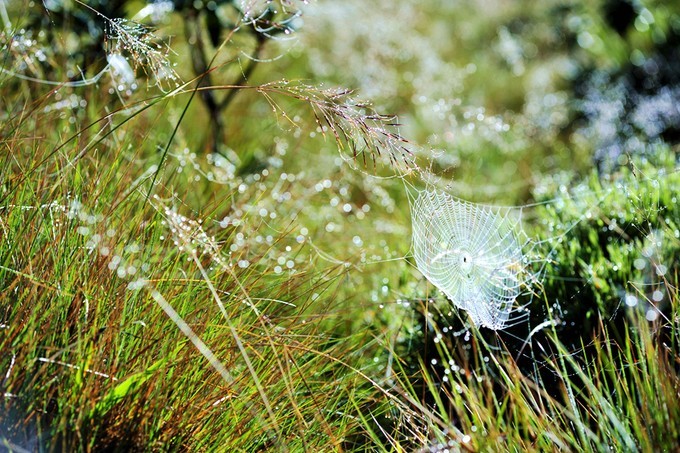 人文摄影斯里兰卡,锡兰风景