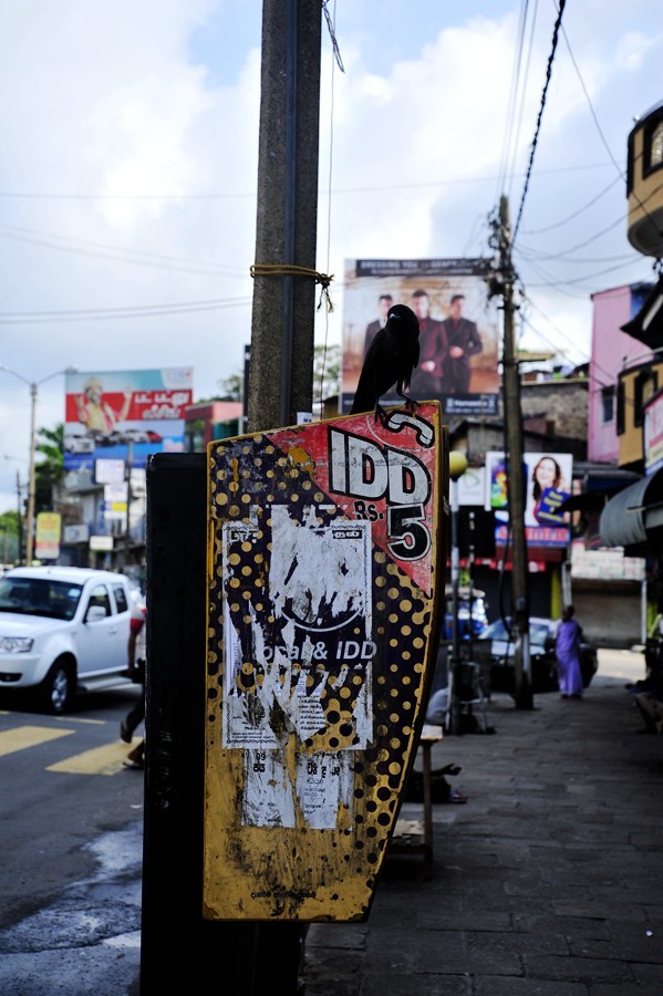 人文摄影斯里兰卡,锡兰风景