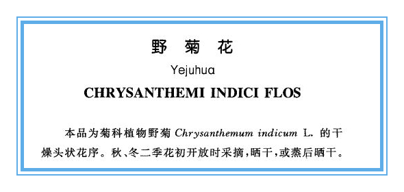 野菊花就是金花草吗,野生菊花与菊花区别