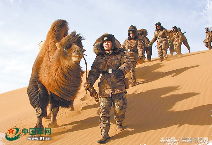 军营“驼倌”对“蒙古族养驼习俗”的亲身感受