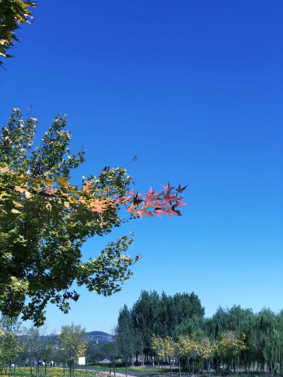 滦县古城一日游,滦州古城必吃烧饼