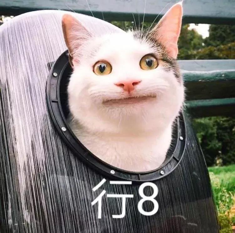 对一个人彻底绝望了怎么回答,对一个人失望透顶该怎么办