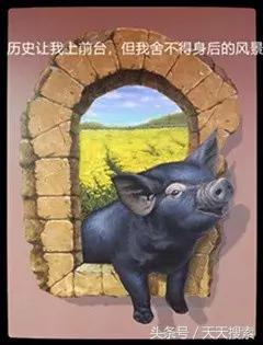 藏香猪卡C位的另类奋斗史