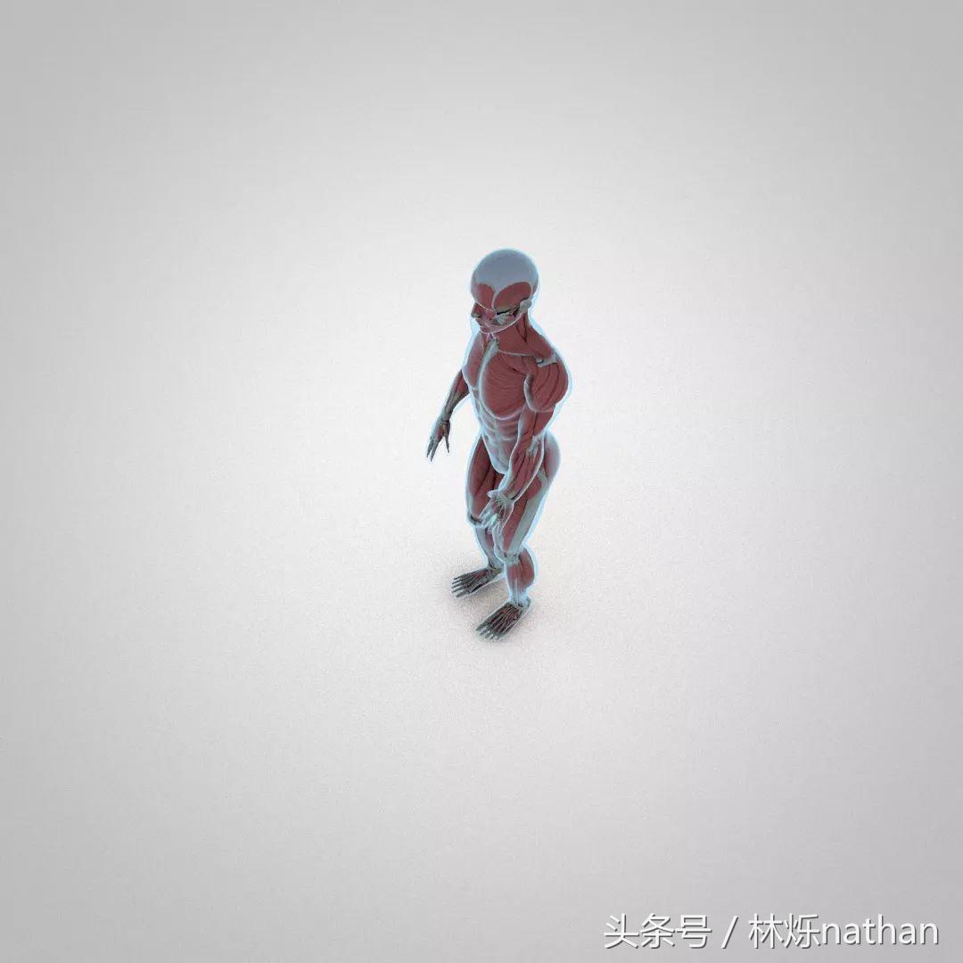 臀部训练需要掌握的细节,马华健美5分钟臀部训练