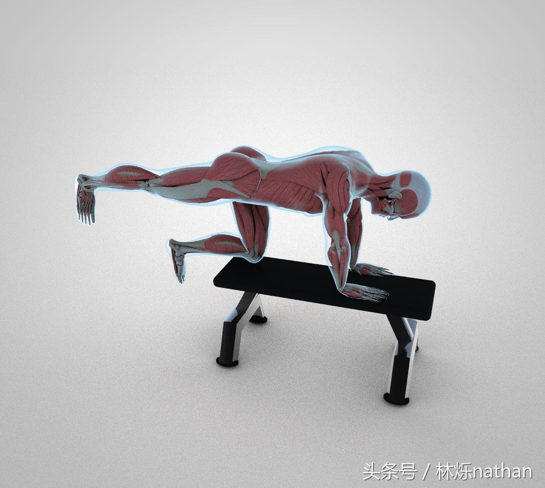 臀部训练需要掌握的细节,马华健美5分钟臀部训练