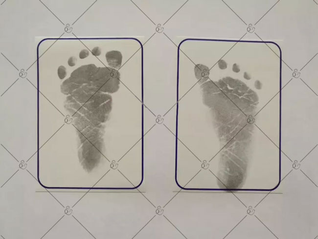 遗失美国护照、出生纸、社安卡等重要证件，该如何补办？