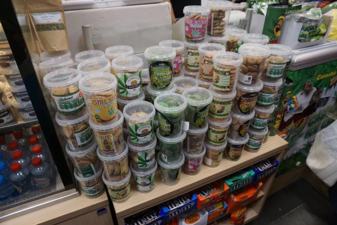 求生欲极强的几个问题,求生欲小技巧