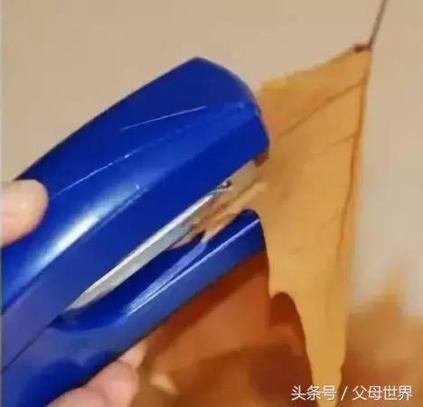 把秋天的落叶变成手工艺术品,秋天大自然手工创意