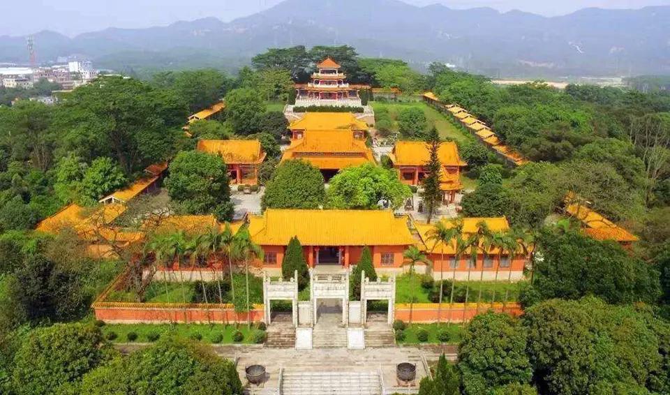 广东烧鹅为什么那么多,广东烧鹅为什么这么好吃