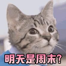 福州好逛的地方,福州东街口大洋花巷集市