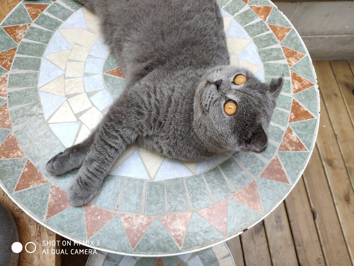 滑盖和全面屏，这次小米做得并不差！小米MIX3详细评测