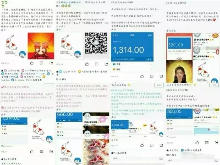 如何参与中国锦鲤,曾经的中国锦鲤