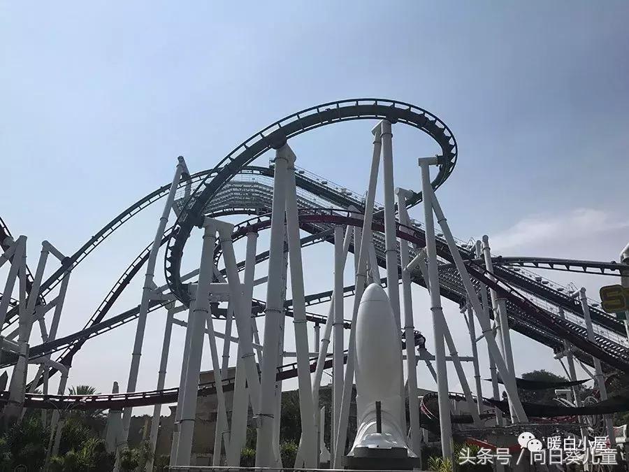 我是怎么患上白血病的自述,我得了白血病怎么办