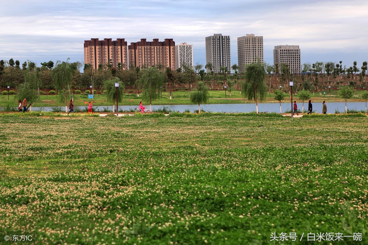 朗朗上口有趣的童谣有哪些,童谣作品健康向上朗朗上口