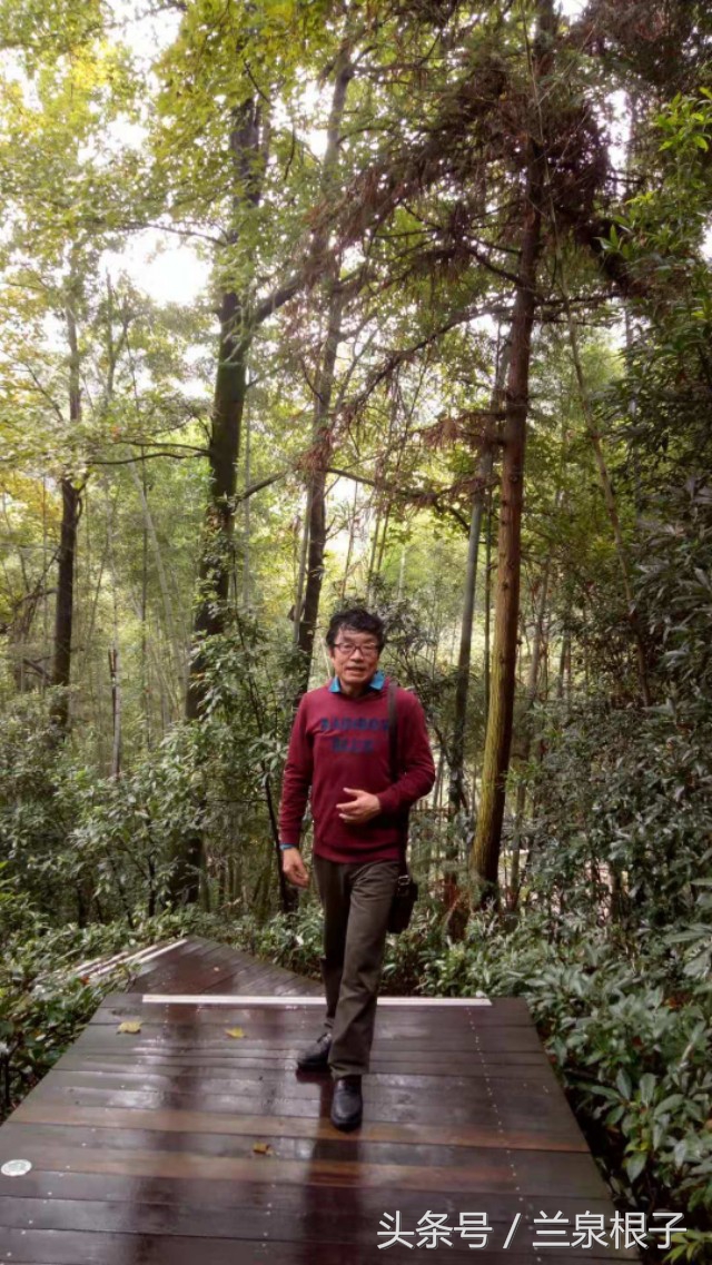 红太阳升起的地方图片,红太阳升起的地方歌曲