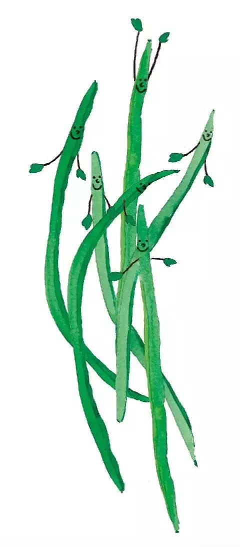 6-12个月宝妈辅食,6-12个月宝宝辅食大全