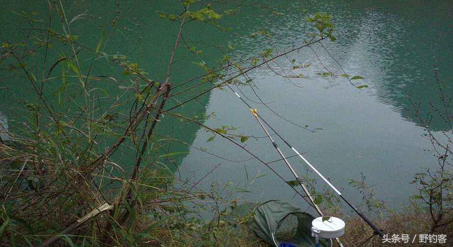化绍新无钩半水调漂视频,半水调三钓三的正确方法