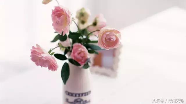 亦舒情感语录大全集,亦舒经典语录甜言蜜语