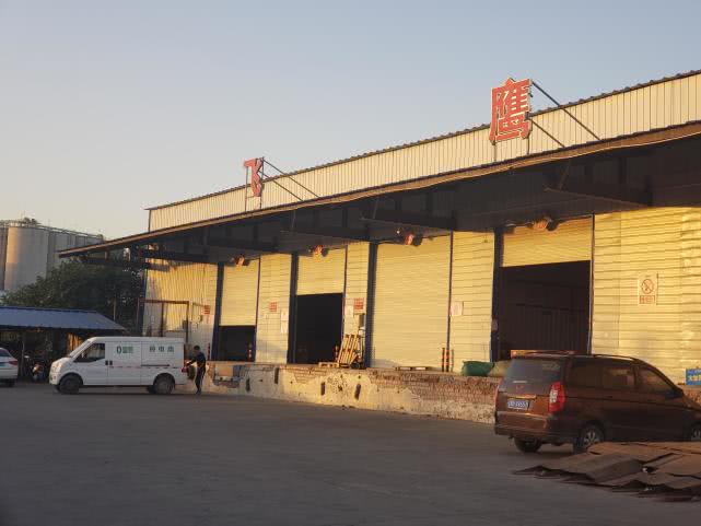 飞鹰物流是什么,飞鹰物流郑州