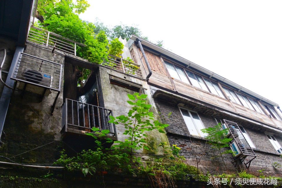 二厂文创公园景点,鹅岭二厂文创公园攻略