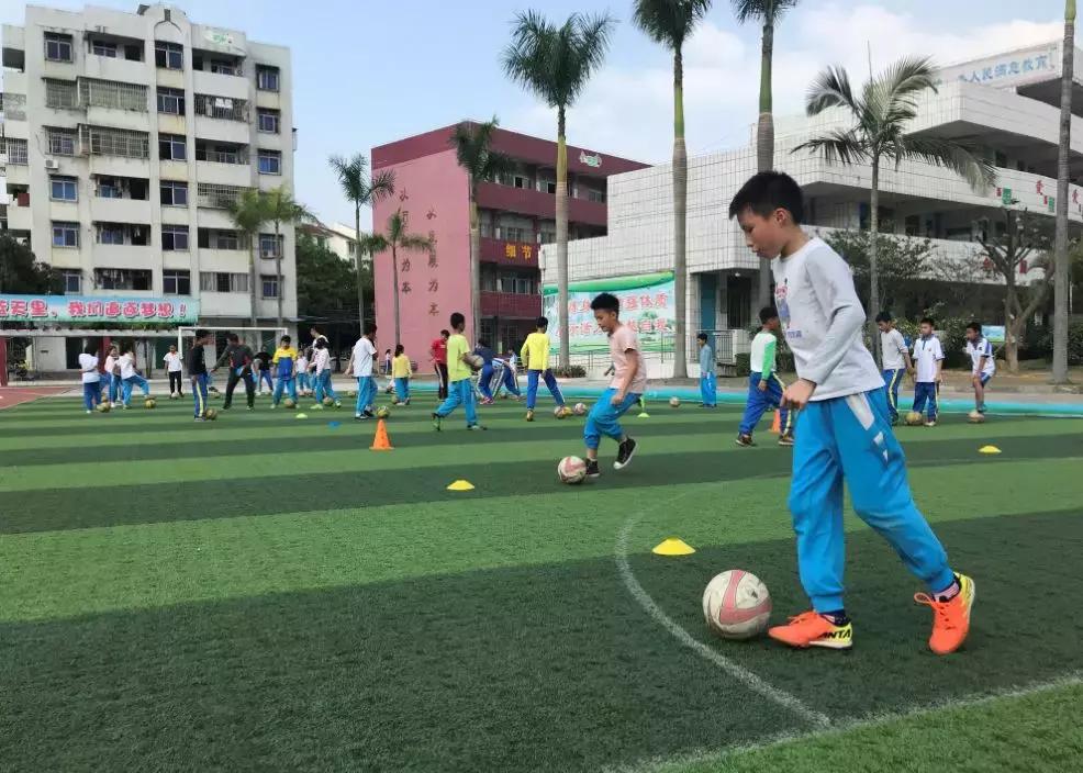 鼎湖校园足球,喜讯学校获批试点学校
