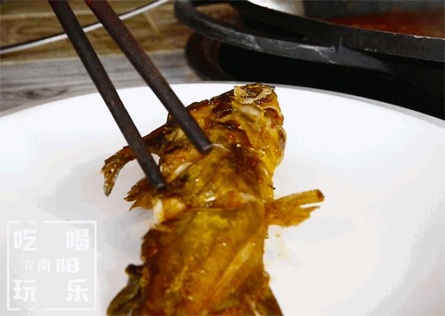 爆！光武路这家店用活鱼下锅！一口鲜到爆炸！吃完简直要犯罪！