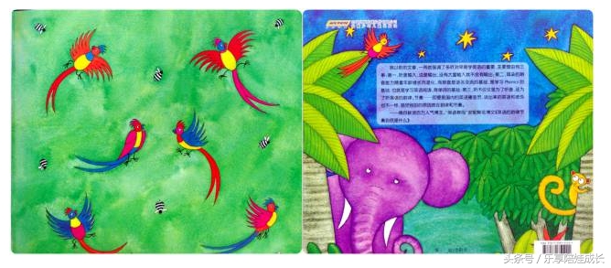 animalboogie绘本,thebook绘本磨耳朵