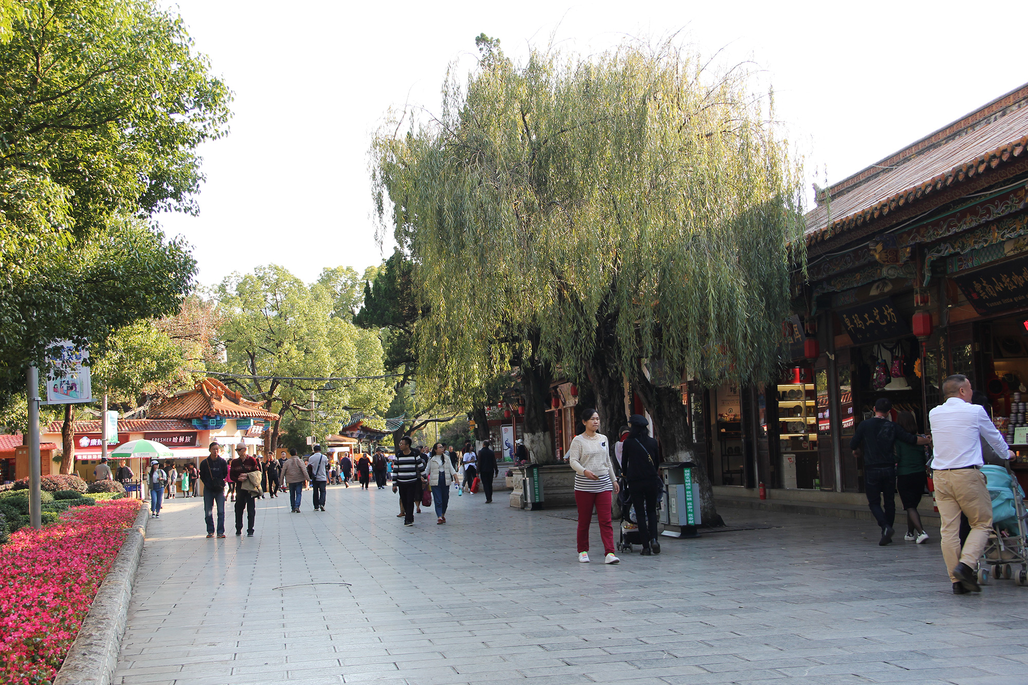 昆明翠湖公园照片,昆明翠湖公园简介资料