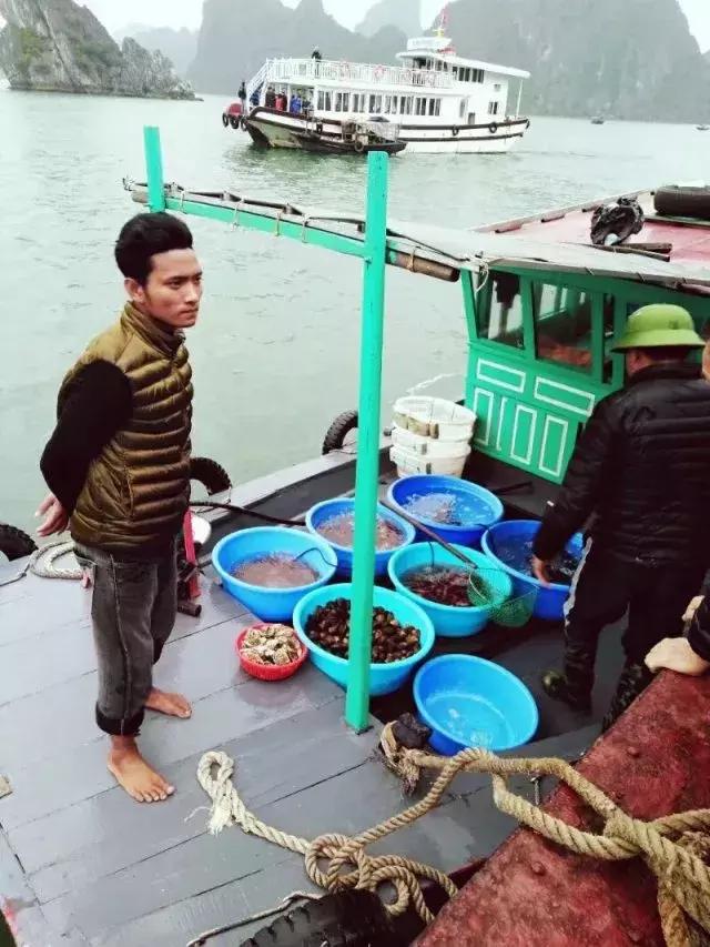 5000元越南8天7晚旅行全攻略,越南4500元一日游