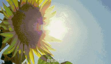 80后创业天才突然去世,42岁创业者去世后续