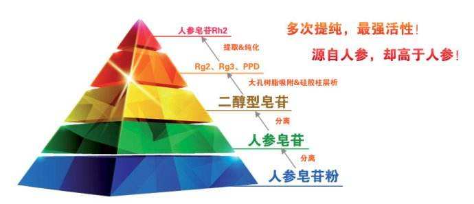 上过央视、得过奖，人参皂苷是不是抗癌良药？