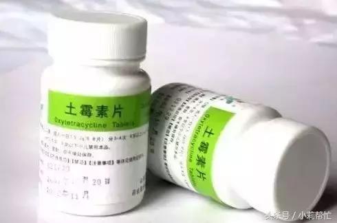 牙疼买牛黄解毒片有用吗,牛黄解毒片的功效治牙疼吃几粒