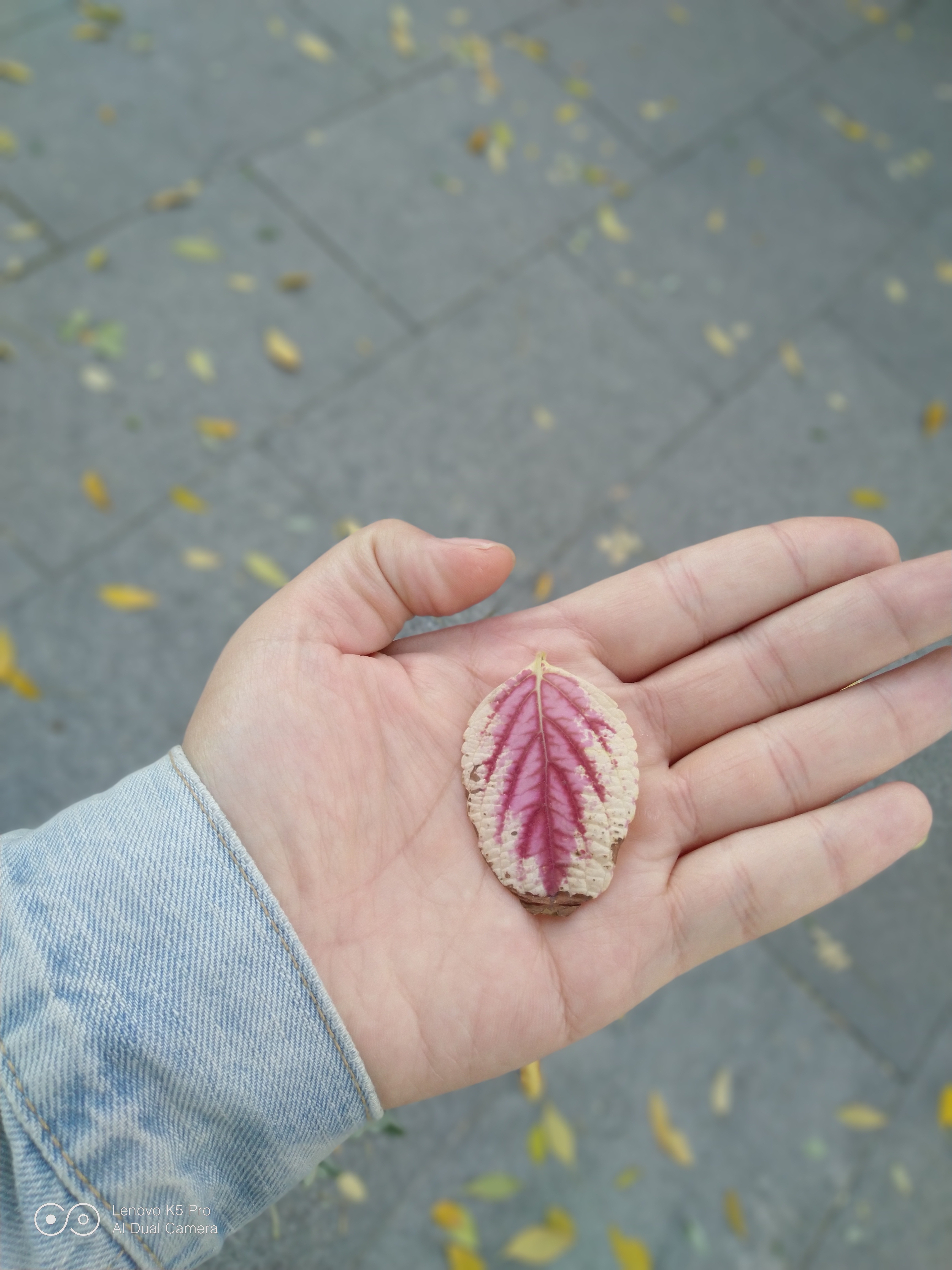 联想k5pro使用效果怎么样,4年的联想k5pro还能用吗