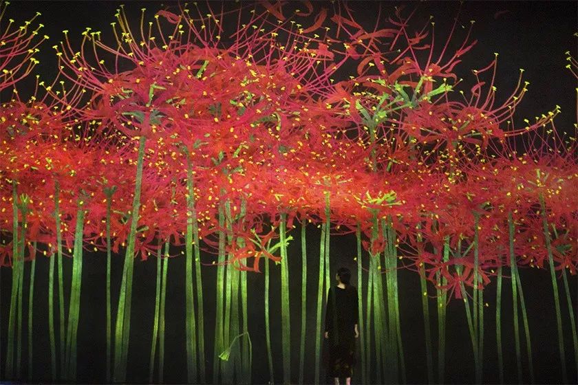 海关最爱登机箱还来第二弹！优衣库可以外穿的秋裤你敢挑战吗？