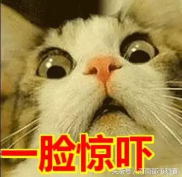 ugg事件,ugg出问题