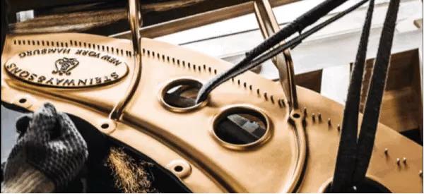 中国国际进口博览会购物攻略,进口博览会参观全攻略