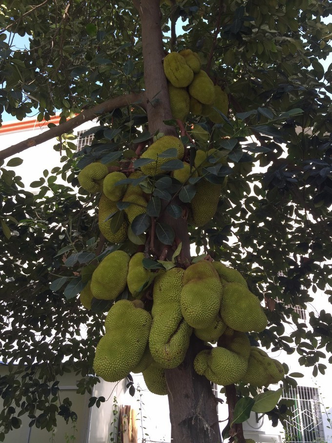 美丽的三亚蓝天白云,三亚蓝天白云美景