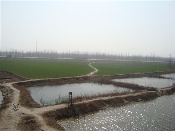 阿呆图片动图,阿呆高清图片图文