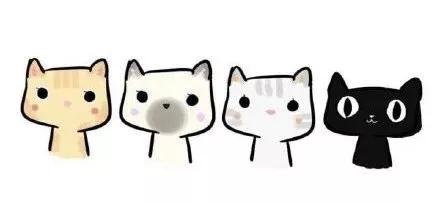 天猫大规模退店,天猫出走