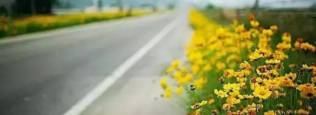 你在穷游过程中遇到过什么,我们只是在旅游上舍得花钱