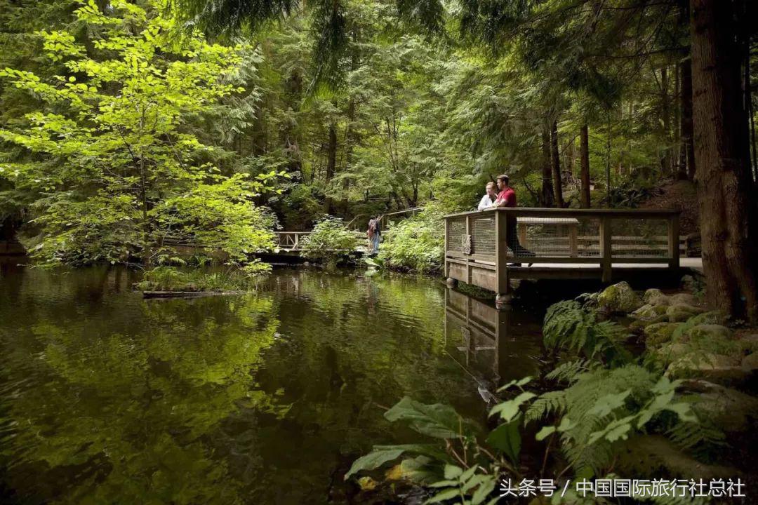 看我72变百变字母秀,看我72变改编