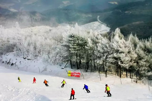 沈阳市东北亚滑雪场,沈阳东北亚滑雪场门票