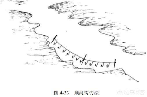 诱捕甲鱼的方法,诱捕野生甲鱼的最快方法视频