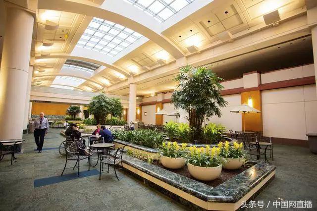 赴美治癌的中国人,30女博士赴美治癌