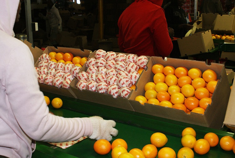 遍布世界的“购物车”，看苏宁的海外“买手”们如何玩转全球好物